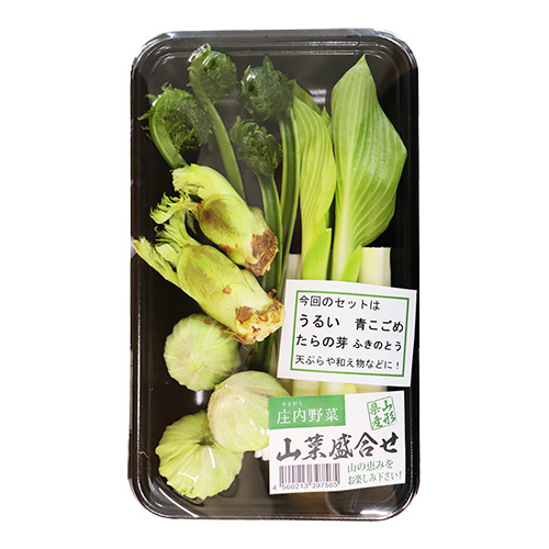 庄内産山菜 おまかせ4種盛合せ