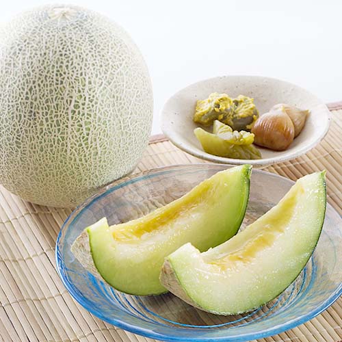 【庄内砂丘】メロンセット